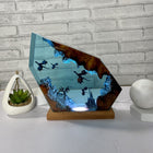 Fire & Ice Dragon Resin Lamp – Fantasy Gift, 3D LED Table Light